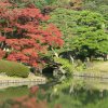 Tokyo_Rikugien_Park_2